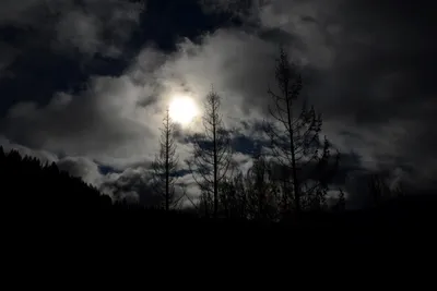 DSC_0882 (Large).JPG